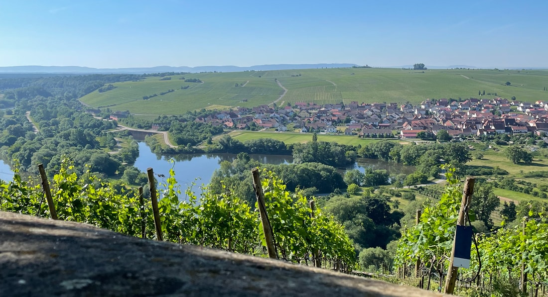 weinberge_3062